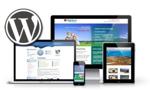 jasa pembuatan landing page wordpress