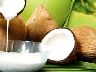keuntungan usaha santan kelapa dengan mesin peras santan